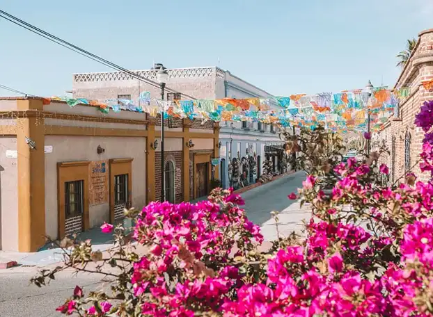 Todos santos